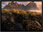 Wschód słońca, Góra, Vestrahorn, Islandia, Morze, Skały, Kamienie, Trawa