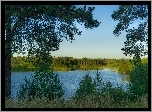Jezioro, Zielone, Drzewa, Trawa