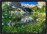 Słowenia, Jezioro, Krn Lake, Góry, Krn Mountains, Kamienie, Trawa