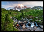 Stany Zjednoczone, Waszyngton, Park Narodowy Mount Rainier, Góry, Drzewa, Trawa, Rzeka, Kamienie