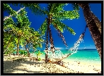 Tropikalna, Plaża, Palmy, Hamak, Morze, Lato