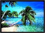 Tropiki, Morze, Plaża, Palmy