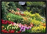 Ogród, Tulipany, Altanka