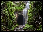 Tory, Tunel, Zieleń