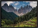 Włochy, Południowy Tyrol, Dolomity, Masyw Odle, Góry, Łąka, Las, Drzewa, Ogrodzenie