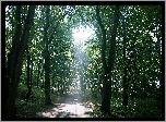 Uliczka, Park