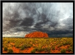 Uluru, Czerwona, Skała, Trawy, Chmury