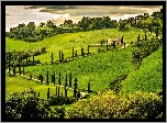 Umbria, Wzgórza, Dom, Pola, Droga, Drzewa