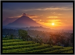 Wulkan Agung, Góry, Pola, Uprawne, Tarasy ryżowe, Drzewa, Mgła, Zachód słońca, Wyspa Bali, Indonezja