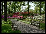 USA, Ogród Belmont, Nowy Jork