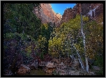 Park Narodowy Zion, Góry, Skały, Rzeka, Virgin River, Drzewa, Utah, Stany Zjednoczone