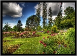 Vancouver, Park, Królowej, Elżbiety, Chmury