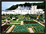 Zamek, W, Villandry, Dolina, Loary, Francja, Ogrody