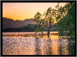 Nowa Zelandia, Jezioro Wanaka, Góry, Drzewa