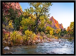 Park Narodowy Zion, Góry Watchman, Drzewa, Rzeka, Kamienie, Virgin River, Stan Utah, Stany Zjednoczone