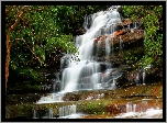 Brisbane Water National Park, Nowa Południowa Walia