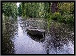 Łódka, Staw, Wierzby płaczące, Ogród, Gooderstone Water Gardens, 
Gooderstone, Norfolk, Anglia