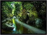 Wąwóz Fairy Glen, Rzeka Conwy, Wioska Betws y Coed, Walia, Park Narodowy Snowdonia, Kamienie, Skały, Drzewa