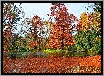 Węgry, Miasto Segedyn, Ogród Botaniczny Szeged, Park, Staw, Jesień, Drzewa