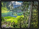 Szwajcaria, Góry, Alpy Berneńskie, Jezioro Hinterstockensee, Las, Wyspa, Światło