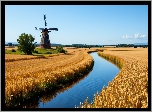 Pole, Zboże, Rzeka, Wiatrak, Lato, Grafika