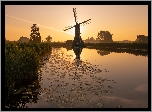 Wiatrak, Młyn Oudendijkse Molen, Rzeka Giessen, Kanał, Lilie wodne, Wschód słońca, Overslingeland, Holandia