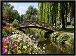 Strumień, Kwiaty, Mostek, Wierzba płacząca, Park