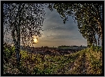 Wieś, Pola, Droga, Zachód Słońca, Drzewa