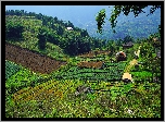 Wzgórza, Pola, Domy, Dolina Muong Hoa Valley, Sapa, Wietnam