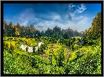 Wietnam, Prowincja Cao Bang, Phong Nam, Góry, Pola, Ryżowe, Drzewa