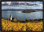 Szwajcaria, Kanton Berno, Gmina Ligerz, Jezioro, Bielersee, Kościół, Winnica