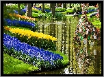 Wiosna, Park, Rzeka, Rzeźba, Kwiatowa, Spacerowicze