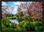 Wiosna, Park, Staw, Owocowe, Drzewo