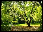 Wiosna, Park