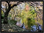 Wiosna, Park, Staw, Czapla