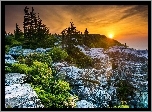 Stany Zjednoczone, Wirginia Zachodnia, Płaskowyż Dolly Sods Wilderness, Skały, Zachód słońca