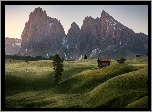 Włochy, Płaskowyż Seiser Alm, Dolina Val Gardena, Dolomity, Góry Sassolungo, Domki, Drzewa, Chmury