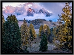 Góry, Dolomity, Drzewa, Jesień, Krowa, Mgła, Chmury, Włochy