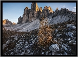 Drzewo, Kamienie, Góry, Tre Cime di Lavaredo, Dolomity, Włochy