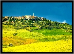 Włochy, Pienza, Toskania, Pola
