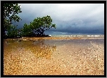 Drzewa, Woda, Plaża
