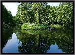 Park, Woda, Jeziorko, Wysepka, Drzewa, Zieleń, Odbicie