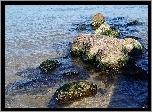 Plaża, Woda, Kamienie