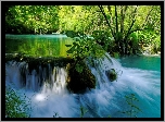 Wodospad, Park, Drzewa, Krzewy