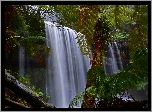 Dżungla, Wodospad, Palmy