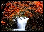 Jesień, Wodospad, Drzewa