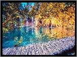 Wodospad, Drzewa, Pomost, Jezioro, Park Narodowy Jezior Plitwickich, Chorwacja
