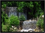 Wodospad, Drzewa, Krzewy, Kamienie