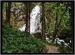 Las, Wodospad, Ścieżka