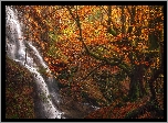 Wodospad, Uguna waterfall, Las, Jesień, Drzewa, Strumień, Park Narodowy Gorbea, Kraj Basków, Hiszpania